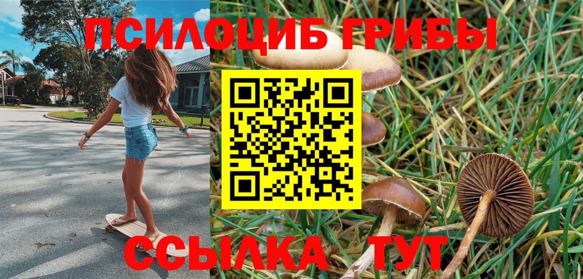 Глазов  Псилоцибиновые грибы мухоморы  Вход с VPN 